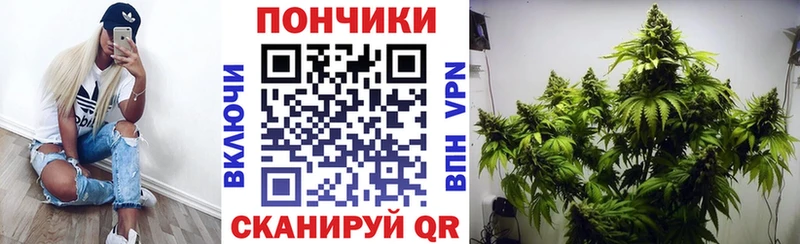 Шишки марихуана SATIVA & INDICA Шахунья